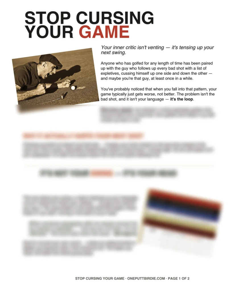 blurred version of stop cursing your game PDF